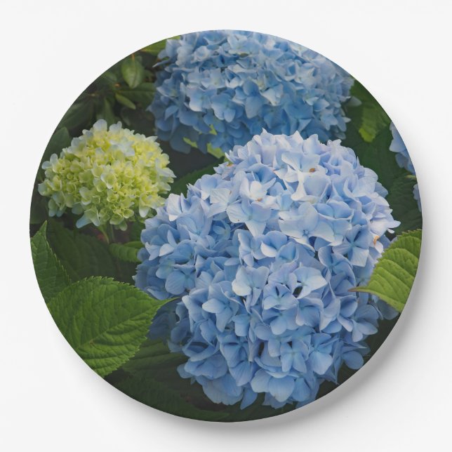Floral Blue Hydrangea Photo Paper Plate (Front)