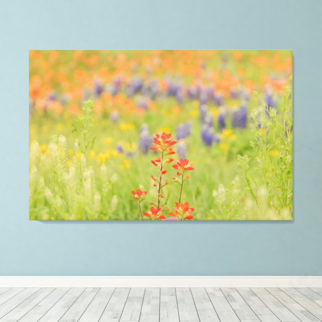 Floral Bluebonnet Photo from Texas Hill Country Canvas Print (Insitu(Wood Floor))
