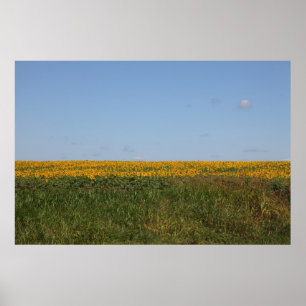 Floral Blur Poster