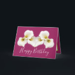 Floral Bouquet White Calla Lilies Floral Birthday Card<br><div class="desc">Beautiful modern bouquet of creamy white Calla Lily flowers against a colour background. The flowers cover the front of this card which can be used as a thank you card, a birthday card, or any other card of your choice. Customise it with your text and/or pictures to make it one-of-a-kind!...</div>