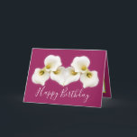 Floral Bouquet White Calla Lilies Floral Birthday Card<br><div class="desc">Beautiful modern bouquet of creamy white Calla Lily flowers against a colour background. The flowers cover the front of this card which can be used as a thank you card, a birthday card, or any other card of your choice. Customise it with your text and/or pictures to make it one-of-a-kind!...</div>