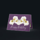 Floral Bouquet White Calla Lilies Floral Birthday Card<br><div class="desc">Beautiful modern bouquet of creamy white Calla Lily flowers against a colour background. The flowers cover the front of this card which can be used as a thank you card, a birthday card, or any other card of your choice. Customise it with your text and/or pictures to make it one-of-a-kind!...</div>