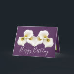 Floral Bouquet White Calla Lilies Floral Birthday Card<br><div class="desc">Beautiful modern bouquet of creamy white Calla Lily flowers against a colour background. The flowers cover the front of this card which can be used as a thank you card, a birthday card, or any other card of your choice. Customise it with your text and/or pictures to make it one-of-a-kind!...</div>