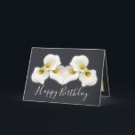 Floral Bouquet White Calla Lilies Floral Birthday Card<br><div class="desc">Beautiful modern bouquet of creamy white Calla Lily flowers against a colour background. The flowers cover the front of this card which can be used as a thank you card, a birthday card, or any other card of your choice. Customise it with your text and/or pictures to make it one-of-a-kind!...</div>