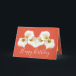 Floral Bouquet White Calla Lilies Floral Birthday Card<br><div class="desc">Beautiful modern bouquet of creamy white Calla Lily flowers against a colour background. The flowers cover the front of this card which can be used as a thank you card, a birthday card, or any other card of your choice. Customise it with your text and/or pictures to make it one-of-a-kind!...</div>