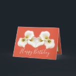 Floral Bouquet White Calla Lilies Floral Birthday Card<br><div class="desc">Beautiful modern bouquet of creamy white Calla Lily flowers against a colour background. The flowers cover the front of this card which can be used as a thank you card, a birthday card, or any other card of your choice. Customise it with your text and/or pictures to make it one-of-a-kind!...</div>