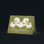 Floral Bouquet White Calla Lilies Floral Birthday Card<br><div class="desc">Beautiful modern bouquet of creamy white Calla Lily flowers against a colour background. The flowers cover the front of this card which can be used as a thank you card, a birthday card, or any other card of your choice. Customise it with your text and/or pictures to make it one-of-a-kind!...</div>