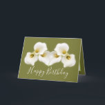 Floral Bouquet White Calla Lilies Floral Birthday Card<br><div class="desc">Beautiful modern bouquet of creamy white Calla Lily flowers against a colour background. The flowers cover the front of this card which can be used as a thank you card, a birthday card, or any other card of your choice. Customise it with your text and/or pictures to make it one-of-a-kind!...</div>
