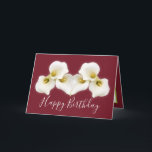 Floral Bouquet White Calla Lilies Floral Birthday Card<br><div class="desc">Beautiful modern bouquet of creamy white Calla Lily flowers against a colour background. The flowers cover the front of this card which can be used as a thank you card, a birthday card, or any other card of your choice. Customise it with your text and/or pictures to make it one-of-a-kind!...</div>