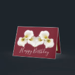 Floral Bouquet White Calla Lilies Floral Birthday Card<br><div class="desc">Beautiful modern bouquet of creamy white Calla Lily flowers against a colour background. The flowers cover the front of this card which can be used as a thank you card, a birthday card, or any other card of your choice. Customise it with your text and/or pictures to make it one-of-a-kind!...</div>