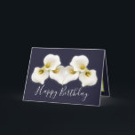 Floral Bouquet White Calla Lilies Floral Birthday Card<br><div class="desc">Beautiful modern bouquet of creamy white Calla Lily flowers against a colour background. The flowers cover the front of this card which can be used as a thank you card, a birthday card, or any other card of your choice. Customise it with your text and/or pictures to make it one-of-a-kind!...</div>