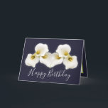 Floral Bouquet White Calla Lilies Floral Birthday Card<br><div class="desc">Beautiful modern bouquet of creamy white Calla Lily flowers against a colour background. The flowers cover the front of this card which can be used as a thank you card, a birthday card, or any other card of your choice. Customise it with your text and/or pictures to make it one-of-a-kind!...</div>