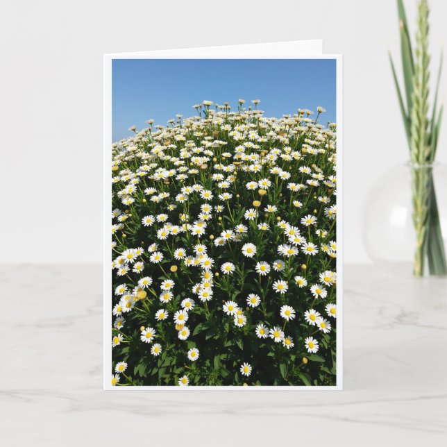 Floral Burst Pattern Card (Front)