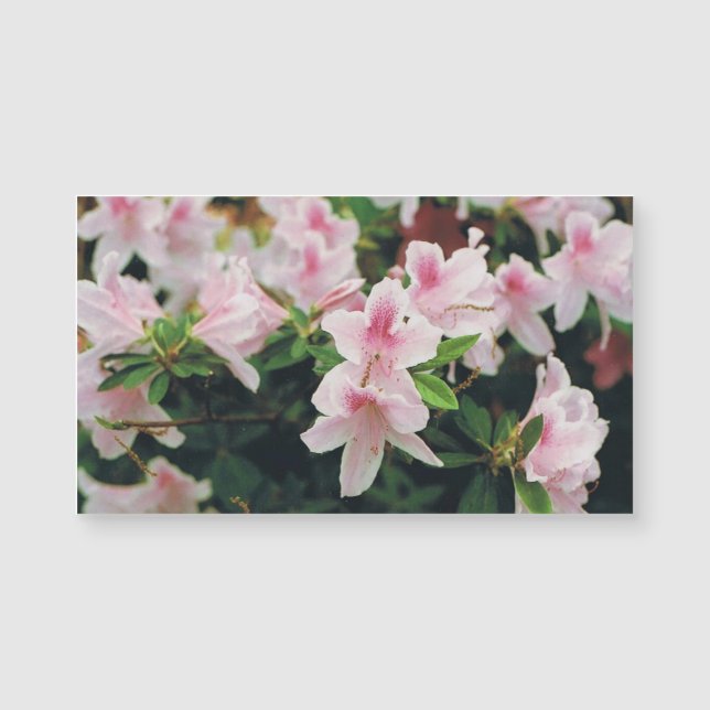 Floral Business Card (Front)