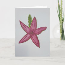 Floral cactus card