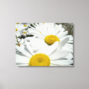 Floral Canvas art prints White Daisy Flowers