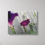 Floral Canvas Print<br><div class="desc">The image on the 14' x 11" (1.5") canvas print consists of pink-purple Morning Glory wildflowers perched on a grey, wooden fence on a sunny summer's morn. These vibrant, delicate, little beauties do not last long after blooming, but we love them just the same. This particular variety, they say, symbolises...</div>