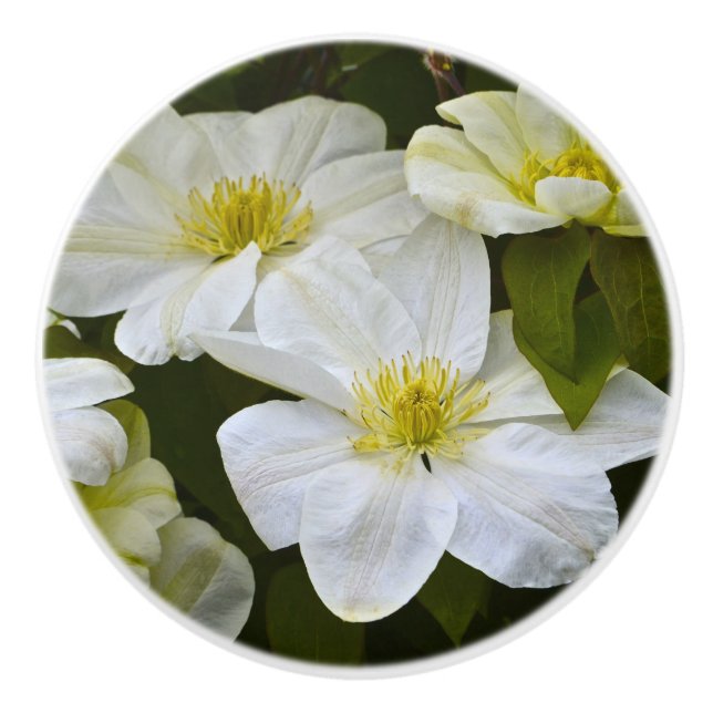 Floral Ceramic Knob (Front)