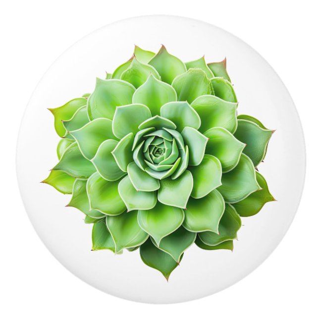  Floral ceramic knobs (Front)