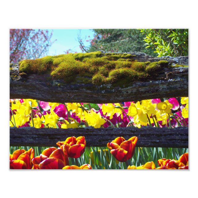 Floral Choral Photo Print (Front)