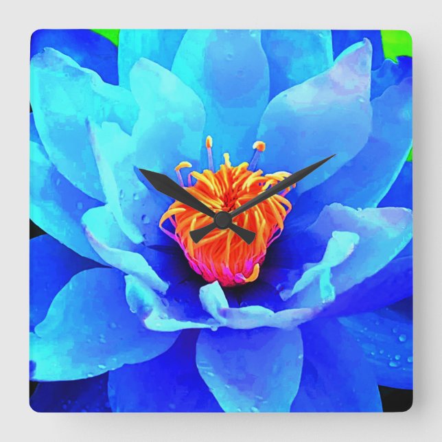 Floral clock (Front)