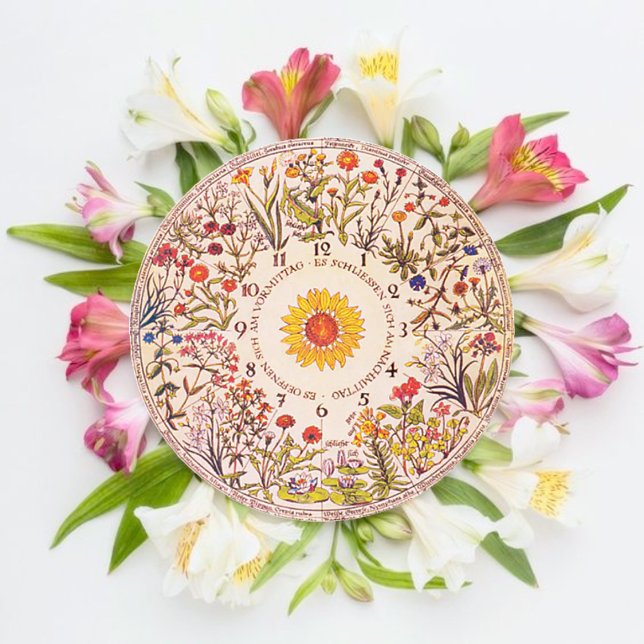 Floral Clock Garden Planting  Classic Round Sticker (Creator Uploaded)