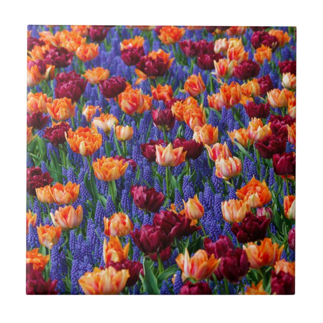 Floral Colour Burst Tile (Front)