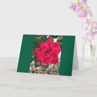 Floral & Colourful, Friend, Valentine's Day Card