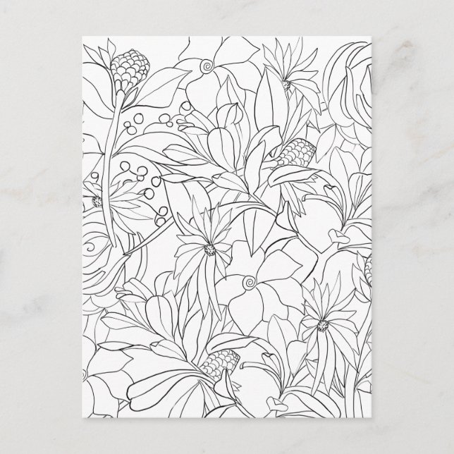 Floral colouring black white garden postcard (Front)