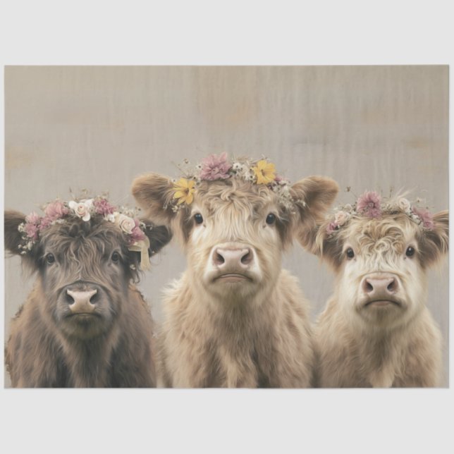 Floral Crowned Highland Cows Rustic Whimsy Country Tissue Paper (Front)