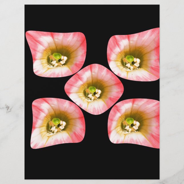 Floral Delight (Front)