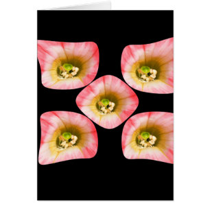 Floral Delight