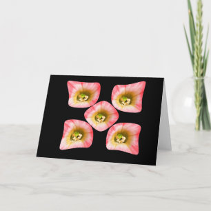 Floral Delight Card