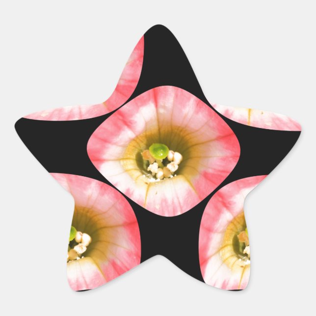 Floral Delight Star Sticker (Front)