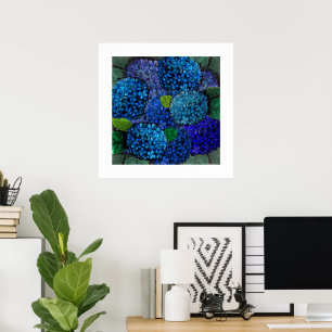 Floral Design Blue Hydrangea Flower Poster