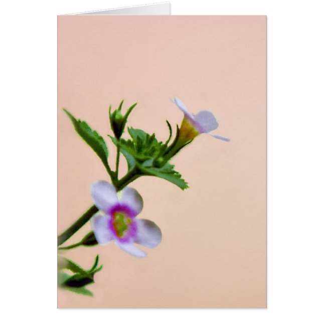 Floral Design On Pink (Front)