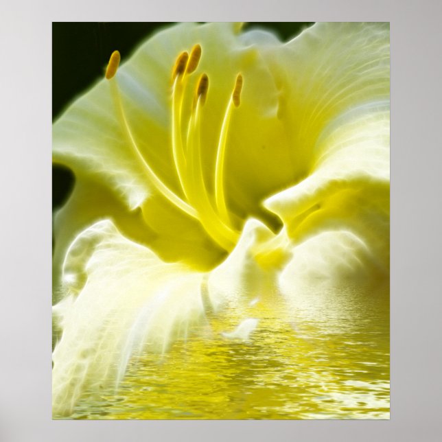 Floral Digital Art Poster (Front)