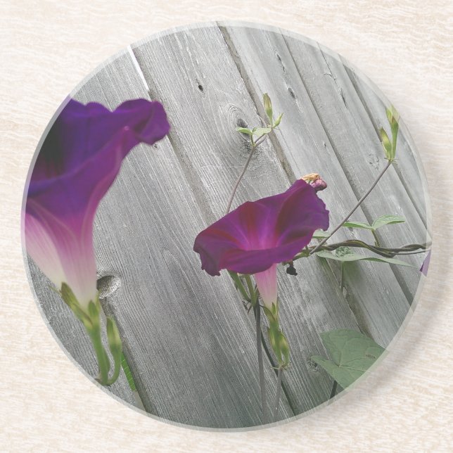 Floral Drink Coaster (Front)