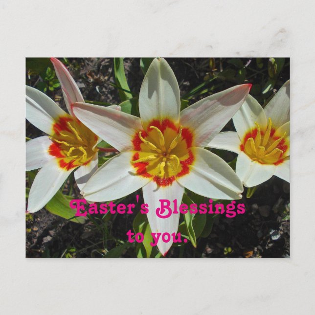 Floral Easter Blessings Holiday Postcard (Front)