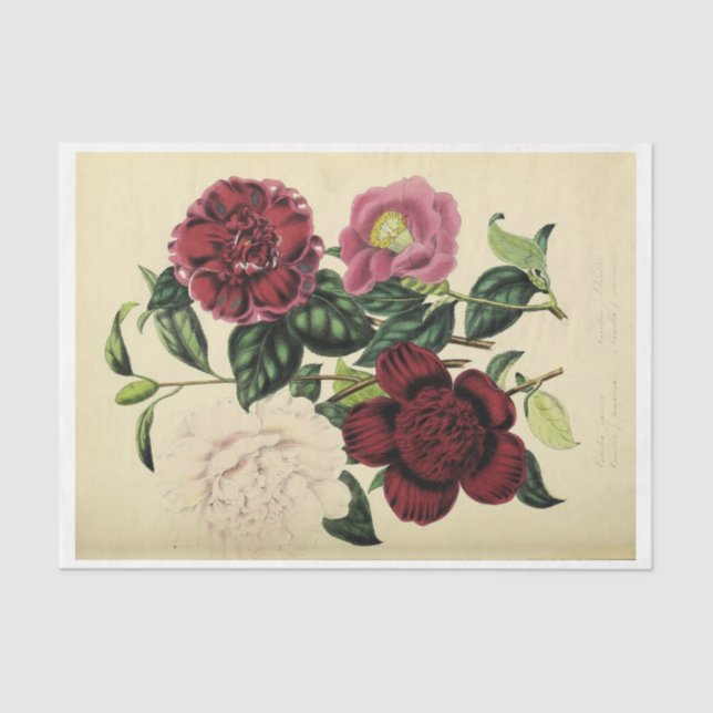 Floral Ephemera Decoupage Burgundy Pink Blush Tissue Paper (Front)
