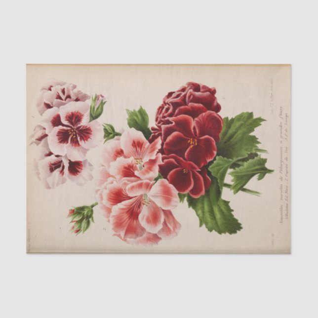 Floral Ephemera Decoupage Pink Burgundy Tissue Paper (Front)
