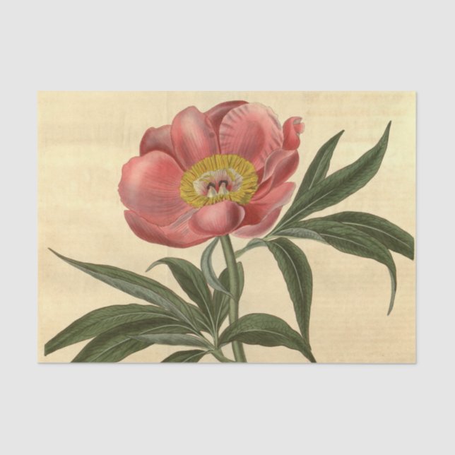Floral Ephemera Decoupage Pink Flower Tissue Paper (Front)