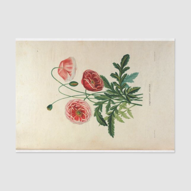 Floral Ephemera Decoupage Pink Flowers Tissue Paper (Front)