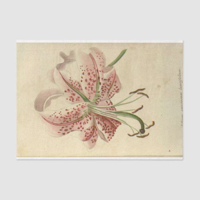 Floral Ephemera Decoupage Pink Flowers Tissue Paper (Front)