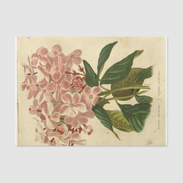 Floral Ephemera Decoupage Pink Flowers Tissue Paper (Front)