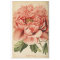 Floral Ephemera Decoupage Pink Peony