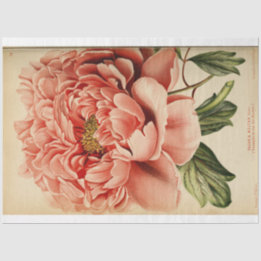 Floral Ephemera Decoupage Pink Peony Tissue Paper