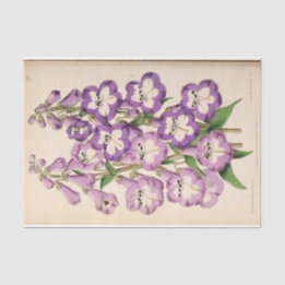Floral Ephemera Decoupage Purple French Flowers Ti Tissue Paper