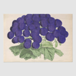 Floral Ephemera Decoupage Purple French Flowers Ti Tissue Paper