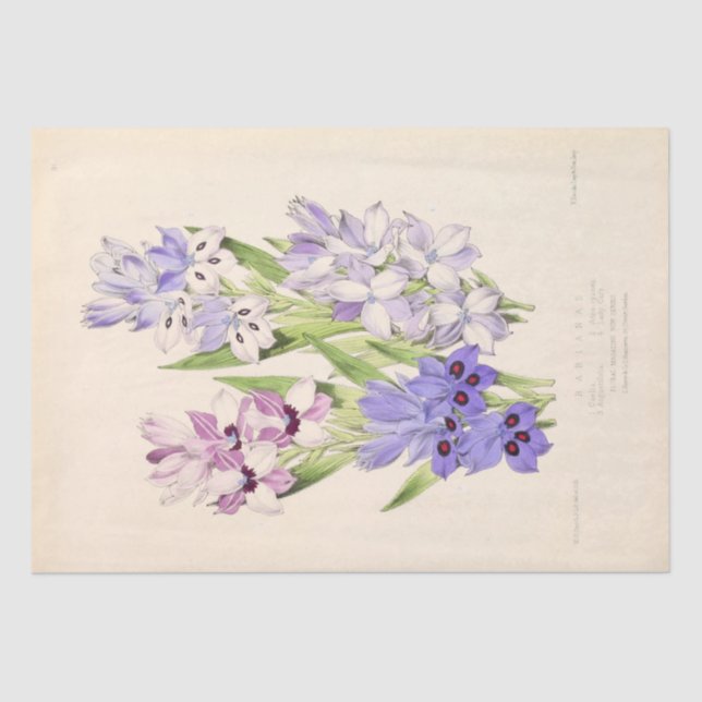 Floral Ephemera Decoupage Purple French Flowers Ti Tissue Paper (Front)